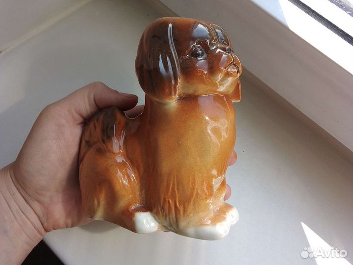 Пекинес. лфз