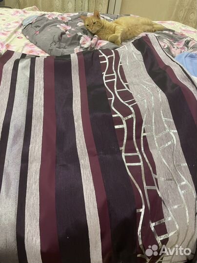 Шторы 140см*240см 2 шт