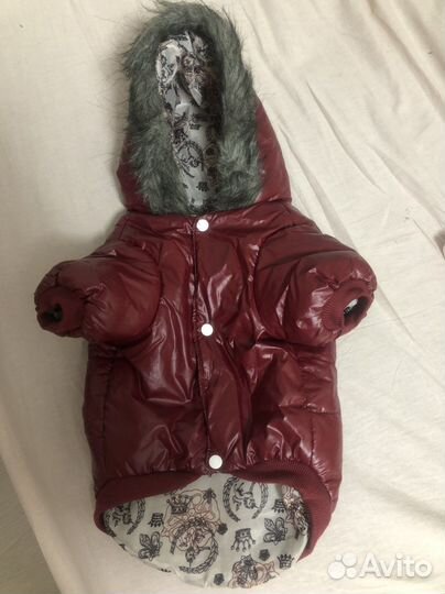 Одежда для маленькой собачки