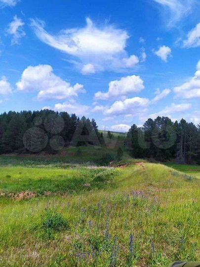 Участок 6,5 га (СНТ, ДНП)