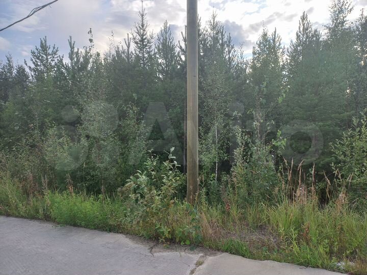 Участок 11,2 сот. (СНТ, ДНП)
