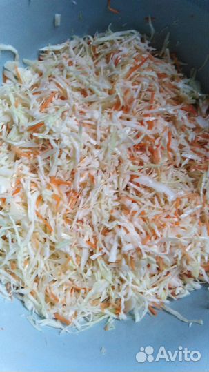 Грибы Опята и Красног.Рыжики и Кульбики солёные