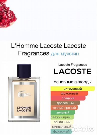 Lacoste l homme