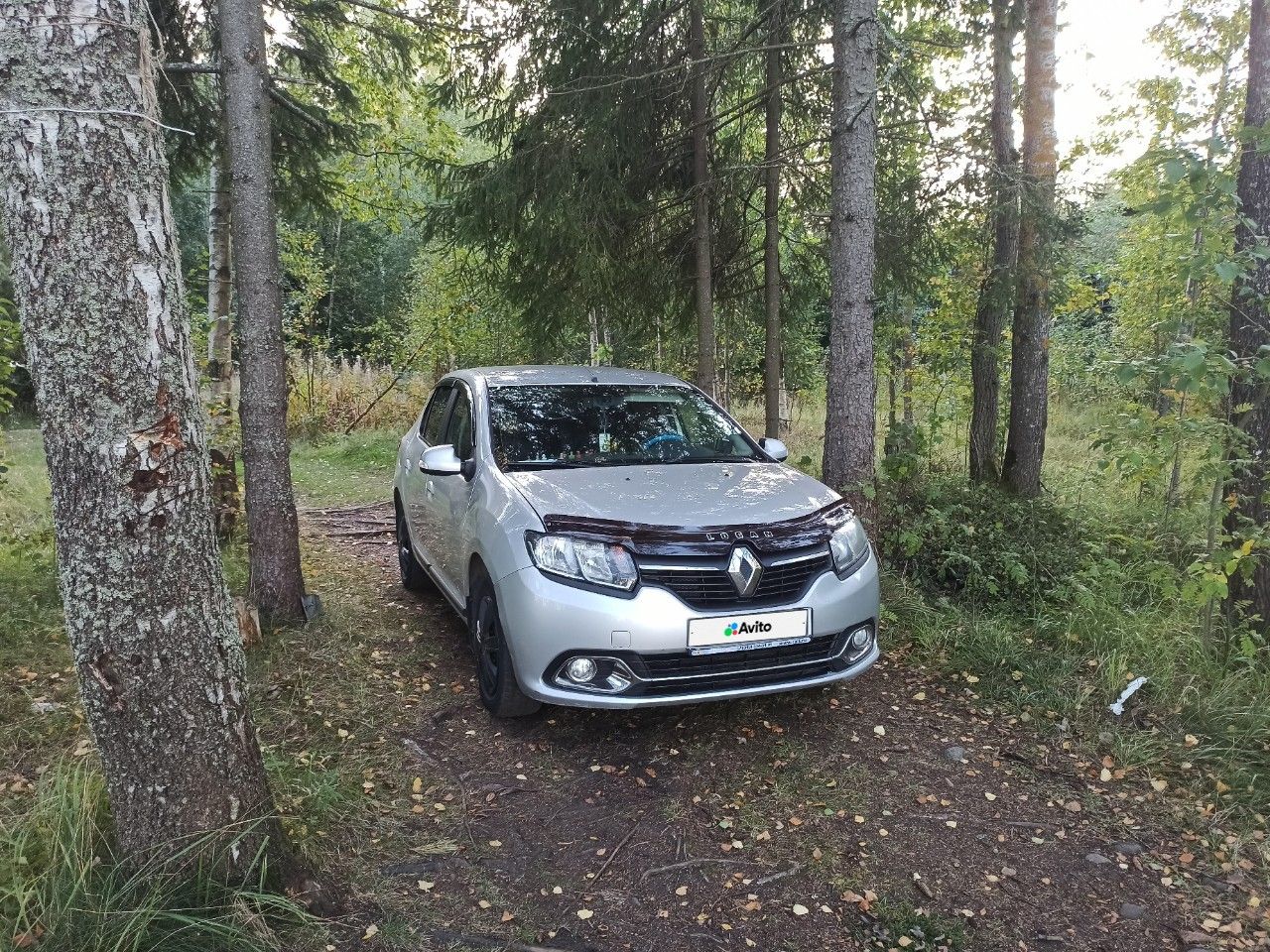 Renault Logan: фото владельца