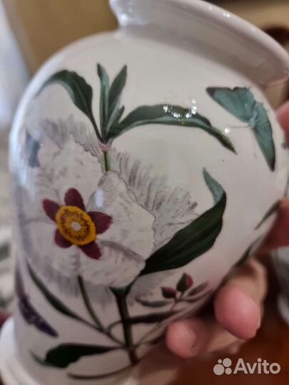 Portmeirion botanic garden