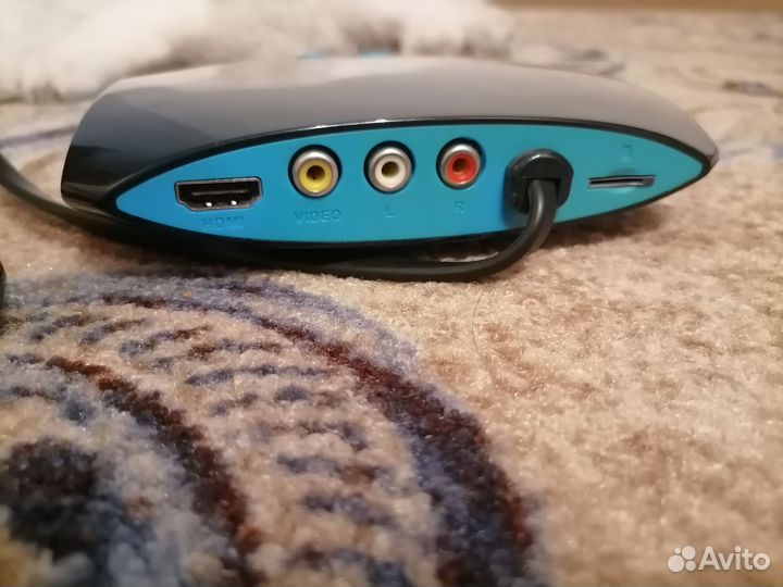 Sega