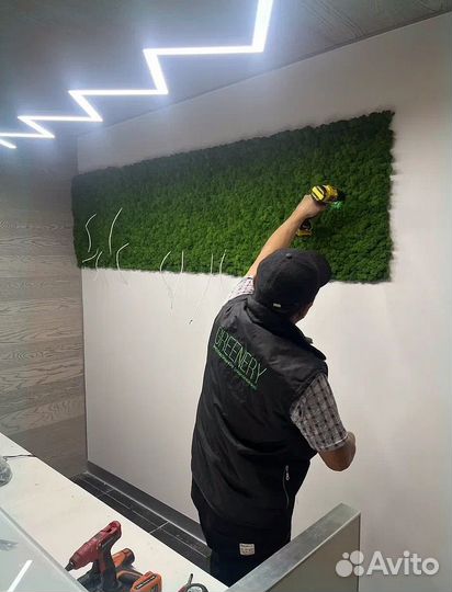 Панно из стабилизированного мха