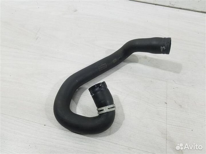 Патрубок радиатора нижний Ford Focus 2 (08-11)