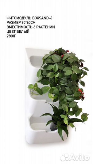 Фитомодули boxsand