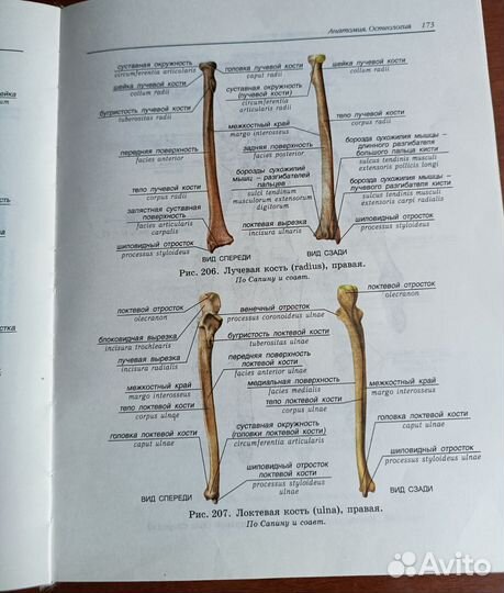 Атлас анатомии человека билич