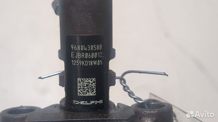 Форсунка топливная Peugeot 407