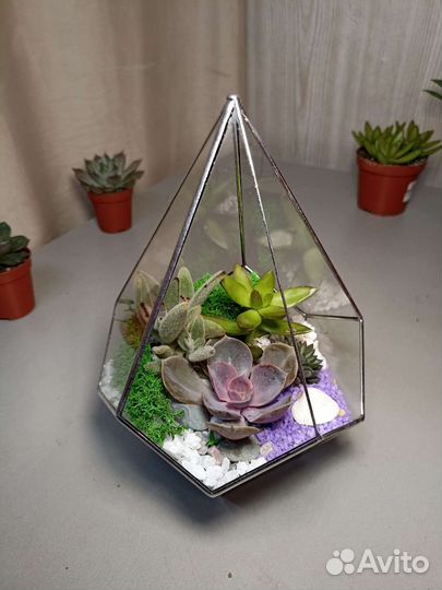 Флорариум Капля