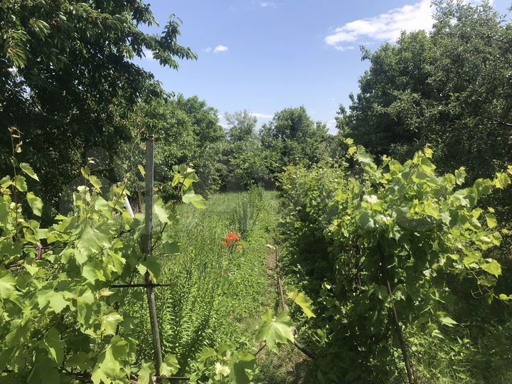 Дача 10 м² на участке 14 сот.