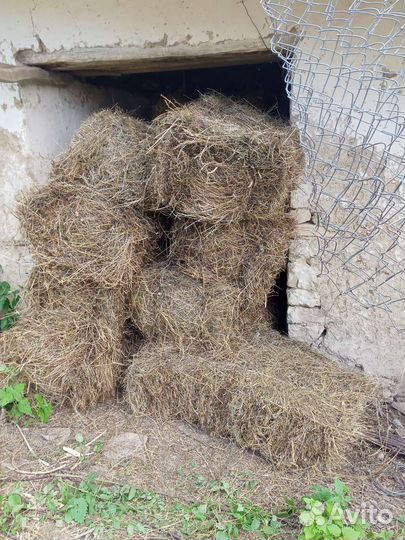 Сено в тюках