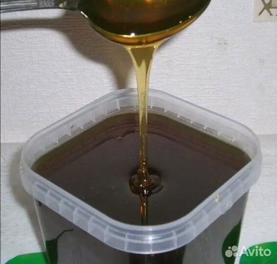 Гречишный свежий мед оптом