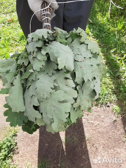 Продам веники