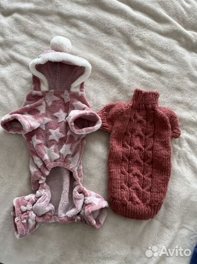 Шапочки и одежда для собак