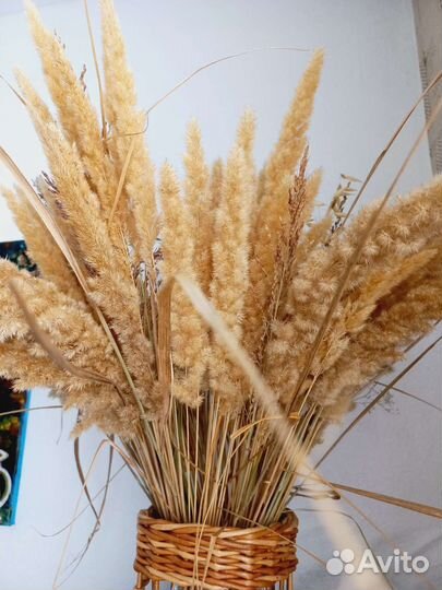 Сухостой в вазе. Декор