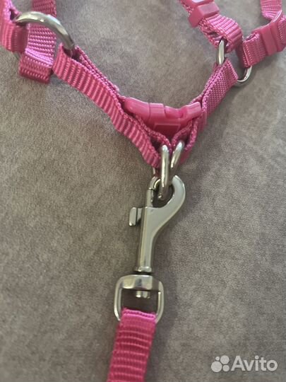 Комбинезон и шлейка для собак