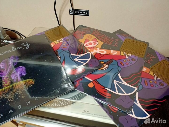 Виниловые пластинки новинки