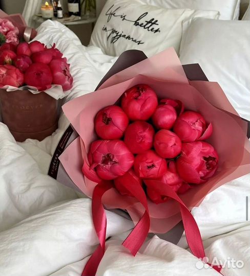 Цветы пионы с беспл. доставкой