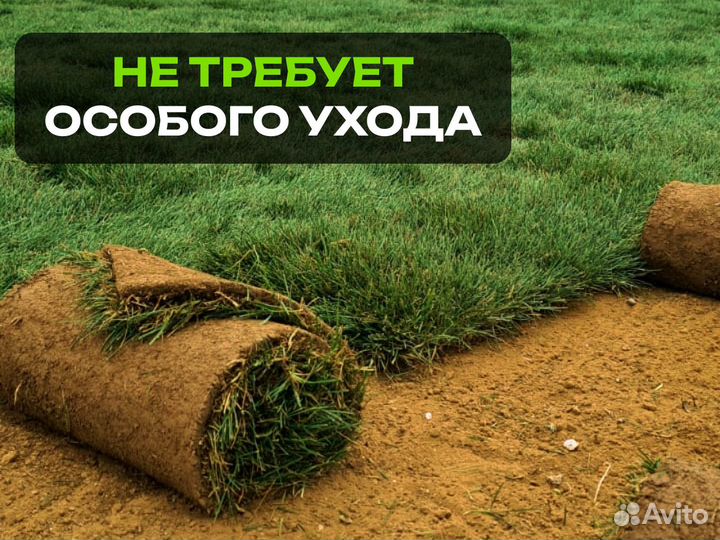 Рулонный газон. Универсален для любой задачи