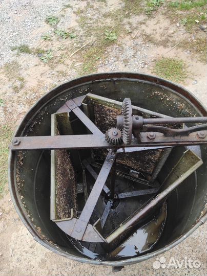 Медогонка бу