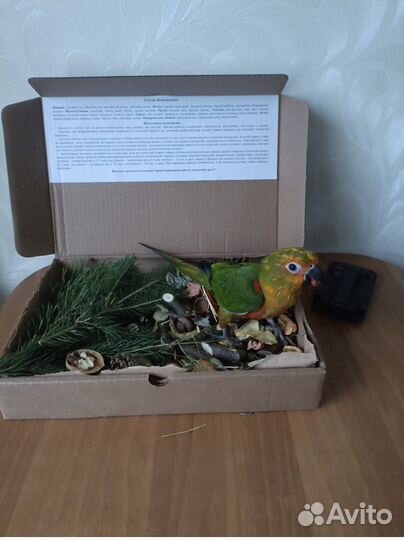 Копошилка для попугаев лакомства фрукты ягоды