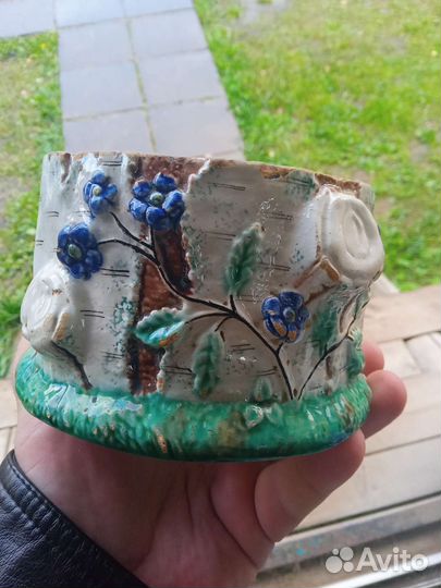 Сахарница кузнецов редкая