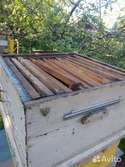 Инвентарь для пчеловодства