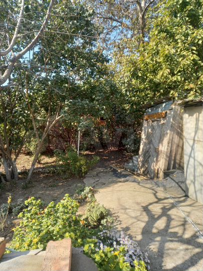 Дом 40,5 м² на участке 2,3 сот.