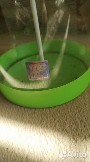 Бабочкарий от fly fly