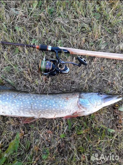 Катушки Daiwa