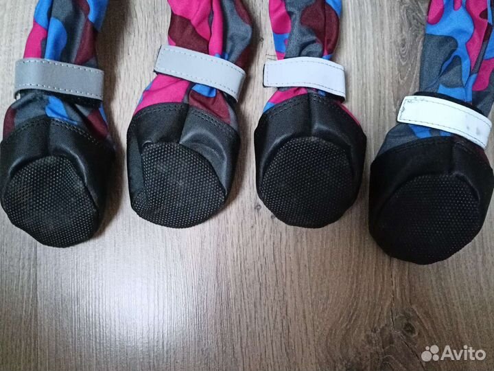 Одежда для большой собаки