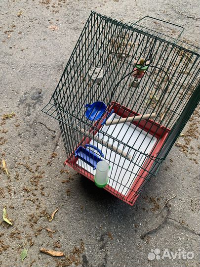 Клетка для попугая