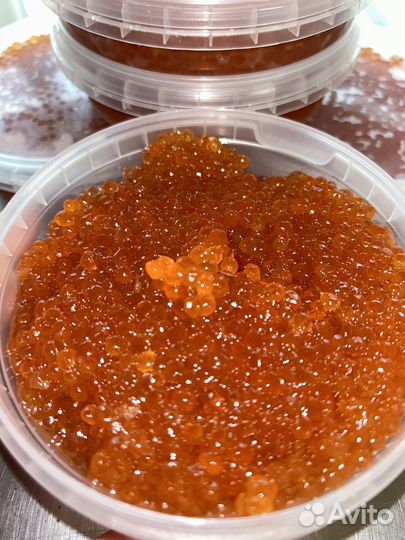 Красная икра 2023 (горбуши и нерки)