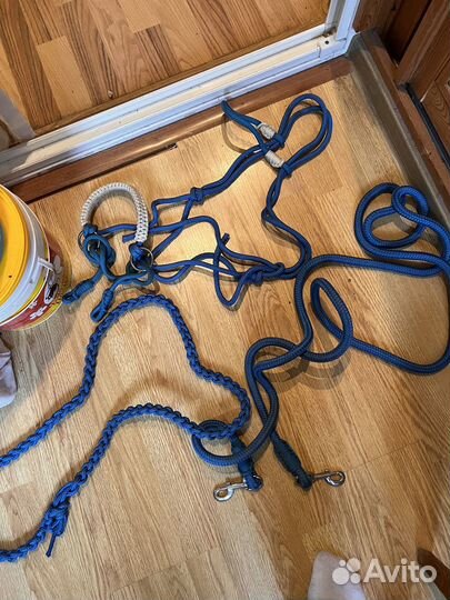 Конная амуниция