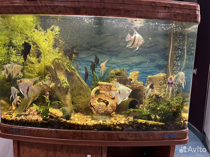 Аквариум с тумбой jebo375