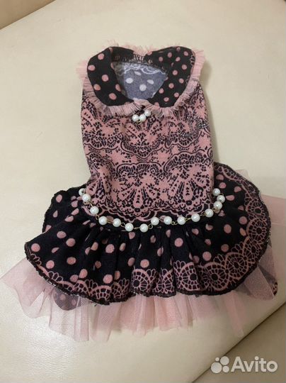 Одежда для собак