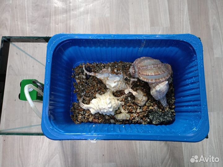 Аквариум 20л