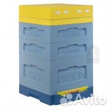 Улья Лысонь Беларусь