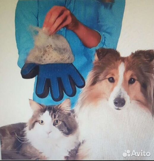 Товары для животных