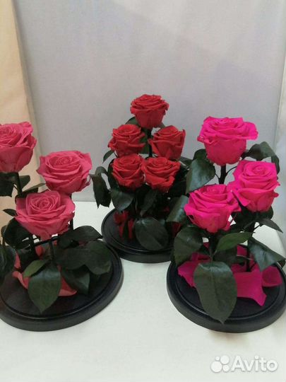 Цветы оптом