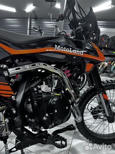 Питбайк motoland GF150 E 19/16