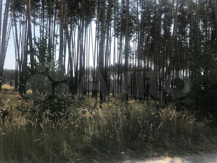 Участок 15 сот. (ИЖС)