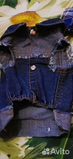 Одежда для маленьких собак