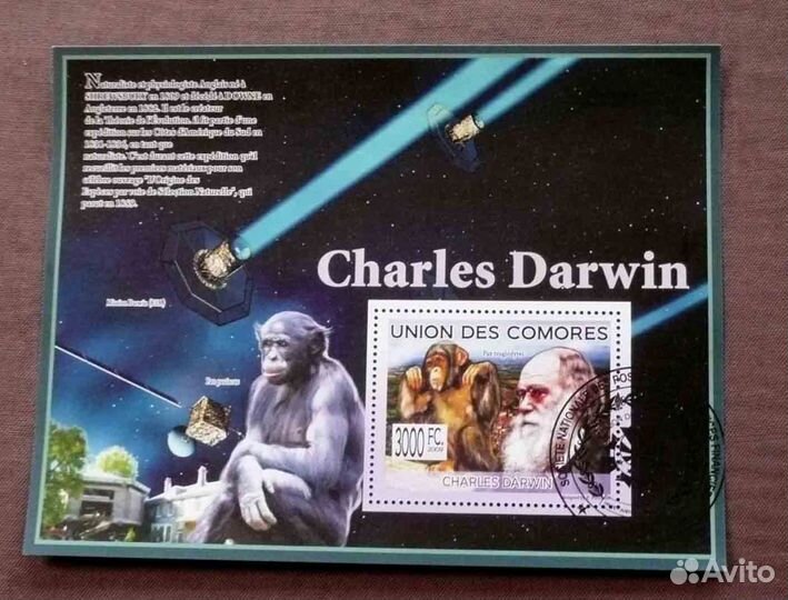 Знаменитые люди 9 красочных блоков