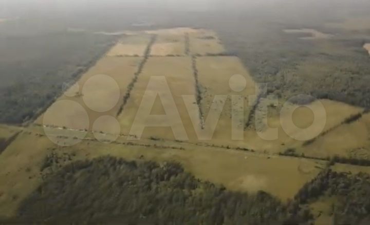 Участок 100 сот. (СНТ, ДНП)