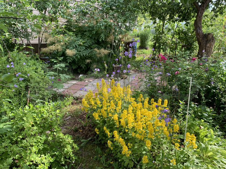 Дача 29,5 м² на участке 5,3 сот.