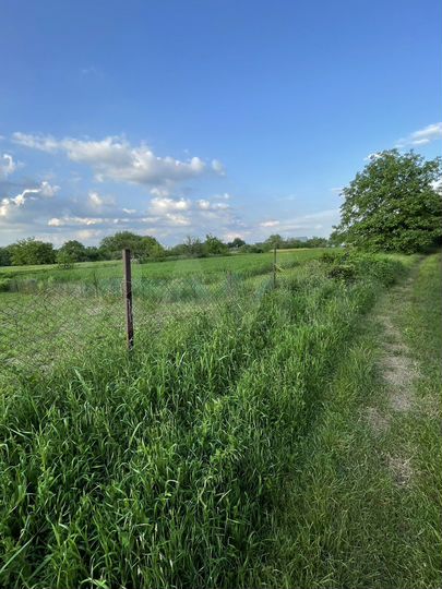 Участок 30 сот. (ИЖС)